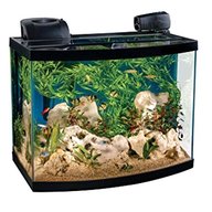 tetra aquarium for sale