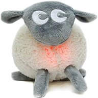 ewan dream sheep for sale