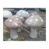 mushrooms granite for sale