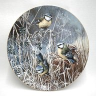 coalport frosty morning plates for sale