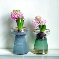 hyacinth vase for sale