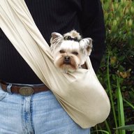 dog sling for sale