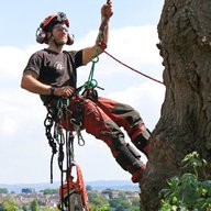 tree climbing gear for sale