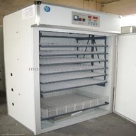 automatic egg incubator for sale
