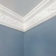 plaster coving for sale