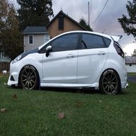 fiesta st side skirts for sale