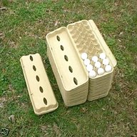quail egg boxes for sale