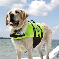 dog life jacket for sale