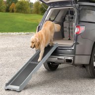 dog car ramp for sale