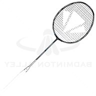 carlton badminton for sale