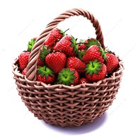 strawberry basket for sale