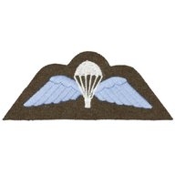 parachute wings for sale