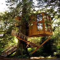 wooden treehouse for sale
