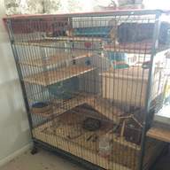 pet degu cages for sale