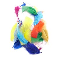 craft feathers for sale