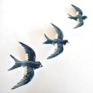 flying wall birds swallows for sale