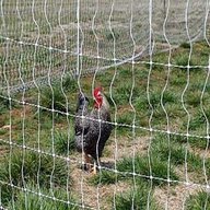 poultry electric fence for sale