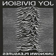 joydivision for sale