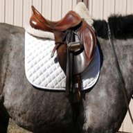 jumping saddle for sale