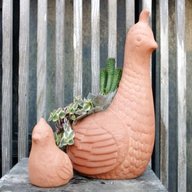 quail pottery for sale