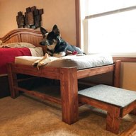 raised dog bed for sale
