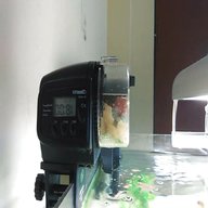 automatic fish feeder for sale