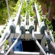 hydroponic system for sale