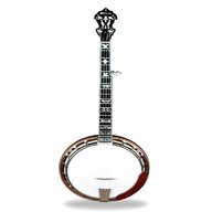 vintage banjo for sale