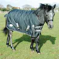 small pony rug for sale
