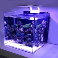 nano marine light for sale