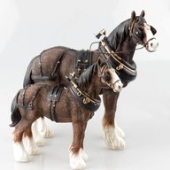 shire horse harness for sale