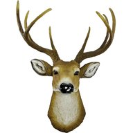 stag head for sale