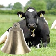 cow bell for sale