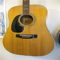 antoria guitar for sale