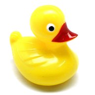 plastic ducks for sale